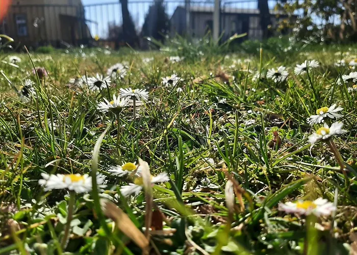 Gartenblick Trebbin