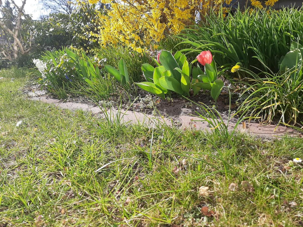 Gartenblick Trebbin